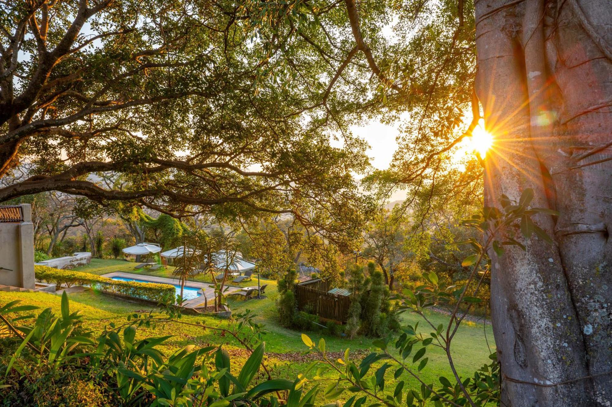 Chestnut Country Lodge Hazyview Dış mekan fotoğraf