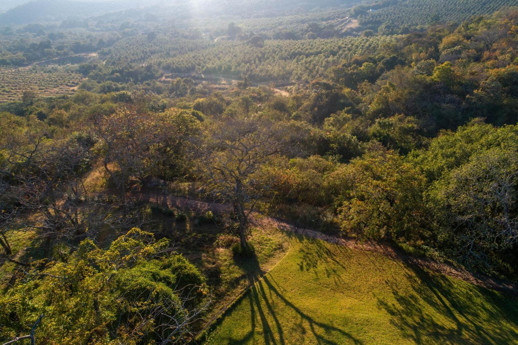 Chestnut Country Lodge Hazyview Dış mekan fotoğraf